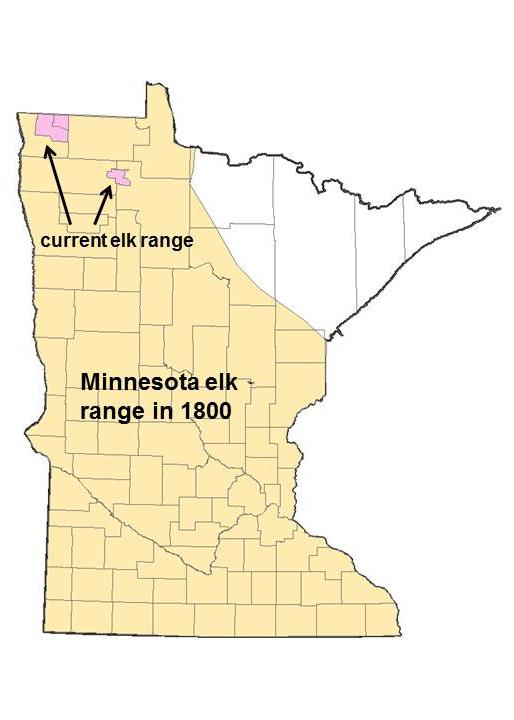 Minnesota elk range